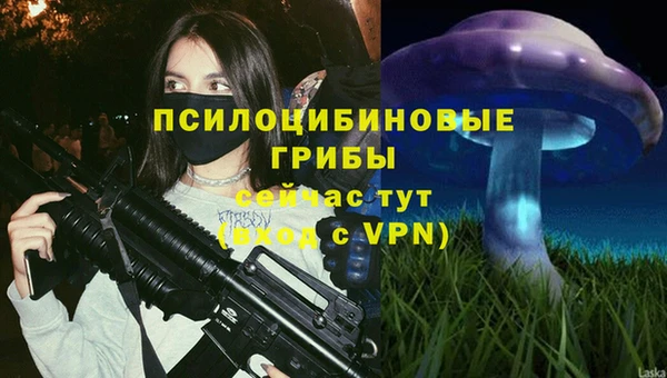 ECSTASY Абинск